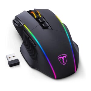 computer mouse