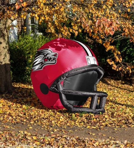 NM Lobos